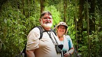 Private Tour Hanging Bridges La Fortuna Waterfall and Volcano 