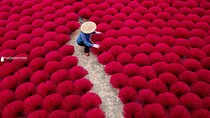 Colors of Incense village Quang Phu Cau
