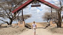 4 Days 3 Nights Tanzanian Budget Safari Tour