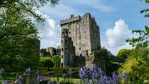 Chauffeur Blarney and Cork Private Day Tour from Dublin