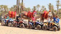 Quad bike ride 2h and camel 30min to the Palmeraie of Marrakech