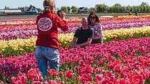 Tour to Giethoorn and Keukenhof Tulip Fields from Amsterdam