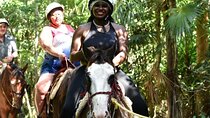 Complete Shared ATV Tour Horse Zip Lines Cenote and Lunch