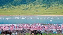 2-Day Hell's Gate, Crescent Island and Nakuru - Private Safari