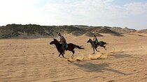 Private Horse Riding Tour in Luxor West Bank