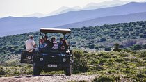 2 Day Small Group Garden Route Big 5 Safari Tour from Cape Town