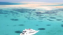 Ras Mohammed And White Island Luxurious Cruise with Lunch