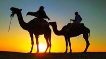  Camel Ride Sunset In Agafay Desert And Tea In Berber Camp 