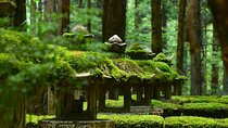 Mt. Koya 8hr Tour from Osaka: English speaking Driver, No Guide 
