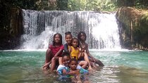 South Coast Tour to YS Falls, Black River Safari and Appleton Rum