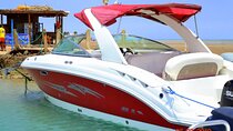4 hours private speedboat & snorkeling in the red sea