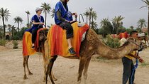Camel Riding in the Marrakech Desert