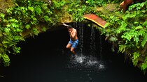 Amazing adventure in 3 cenotes with transportation