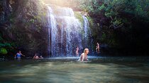 Kohala Waterfalls Small Group Adventure Tour