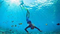 3 Hour Snorkeling and Dolphin Watching Experience in Muscat