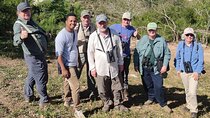 Half Day Tour Bird Watching in the Sierra de Bahoruco