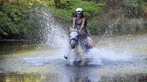 Fethiye Horse Riding Experience With Free Hotel Transfer Service
