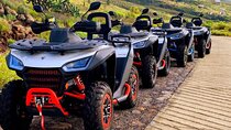 Monster Quad Teide Tour