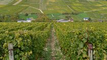 Paris Wine Day Tours exclusive wine tour in the Sancerre area