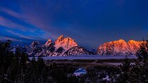 Grand Teton Winter Wildlife Tour