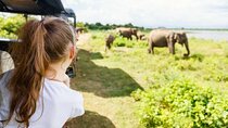 Jeep Safari to Udawalawa National Park, Budget Tour from Colombo