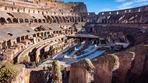 Guided Tour of the Colosseum, Forum and Palatine Hill
