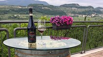 Amarone Wine Tasting in Valpolicella