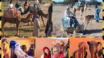 Dromedary Safari: 2 hours