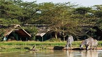 6 Days Samburu Sweetwaters Lake Nakuru and Lake Naivasha Tour