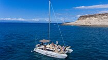 3 hour catamaran excursion on the Costa Adeje