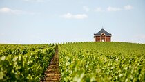 Private Tour to the best Champagne Wineries from Paris