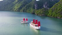 Halong Amazing Sail Luxury 1 Day Small Group Tour 7-Hour Cruising