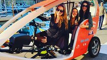 Nice: Visit of Nice by electrically assisted bike taxi 1 hour.
