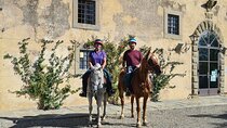 3 Hour Horse Ride to a Castle for Wine Tasting and snack Lunch