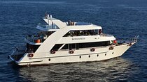 VIP Ras Mohamed and White Island boat trip