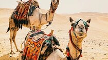 Luxury 5 Days Desert Tour From Marrakech 2025
