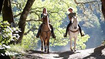 Sydney - Hunter Valley Wine Tasting & Horse Riding Private Tour
