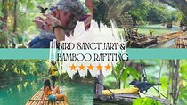 Bird Sanctuary and/or Lethe Bamboo Rafting from Montego Bay