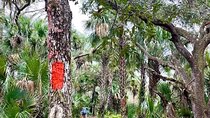 Guided Day Hike Through Florida's wild Backcountry.