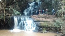 Nairobi Day Tour to Karura Forest Hike Trail Bike and Nature Walk
