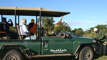 5 Days Big 5 Safari Experience at Amakhala & Addo Elephant Park