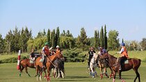 Horseback Riding and Polo in Buenos Aires 