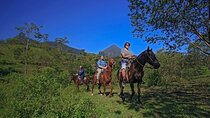 Half Day Tour and Horseback Riding to La Fortuna Waterfall