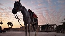 Full-Day Trip to Luxor by Plane from Cairo