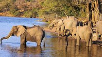 4 Day Garden Route and Botlierskop Game Reserve from Cape Town