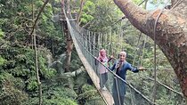 Forest Research Institute Malaysia (FRIM) Nature Trekking Tour