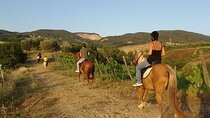 Bodrum Horse Riding Experience w/ Hotel Transfer Service