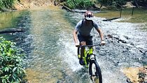 Self-Guided Mountain Bike Tours in Port Douglas