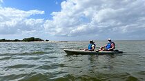 Space Coast Manatee & Coastal Wildlife Kayak Tour