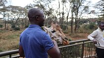 The Ultimate Nairobi City Tour and Giraffe Feeding Experience